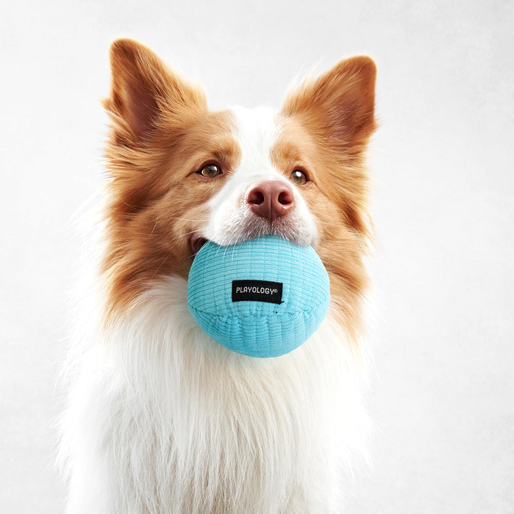 Playology plush-ball inside-mesh emphasizes scent-embedded design and durability