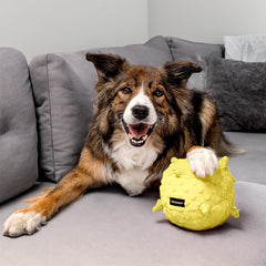 Playology plush dog ball with squeak promotes interactive puppy play.