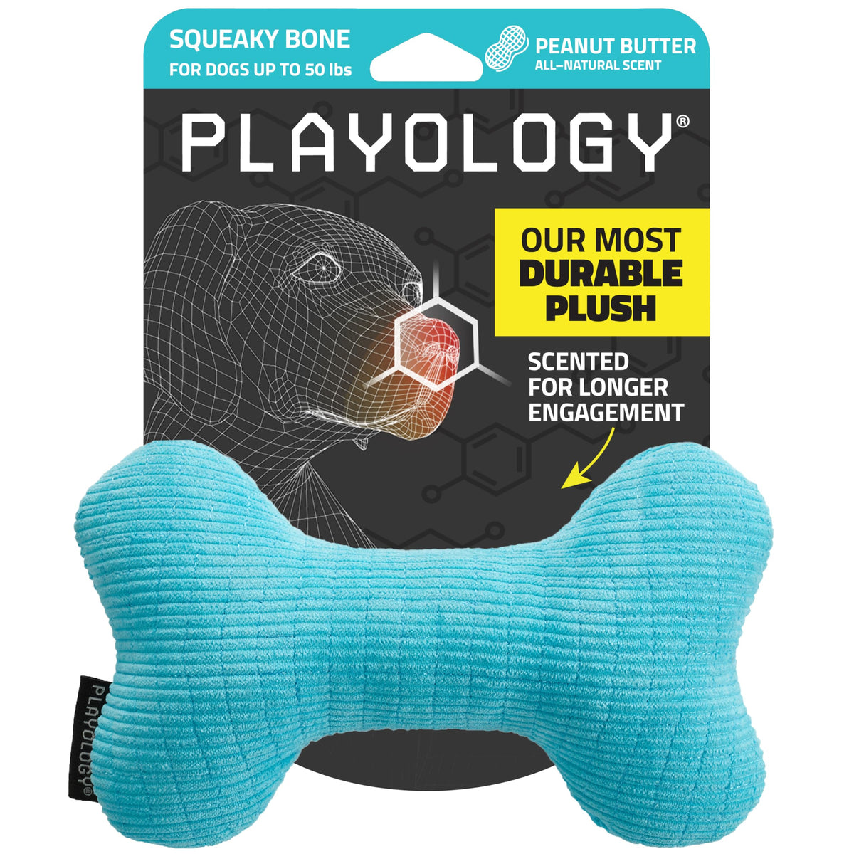 Playology plush squeaky bone toy front view highlights durable corduroy and scent.