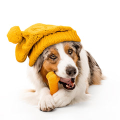 Playology pumpkin-spice scent closeup highlights aroma that motivates extended play for pups.