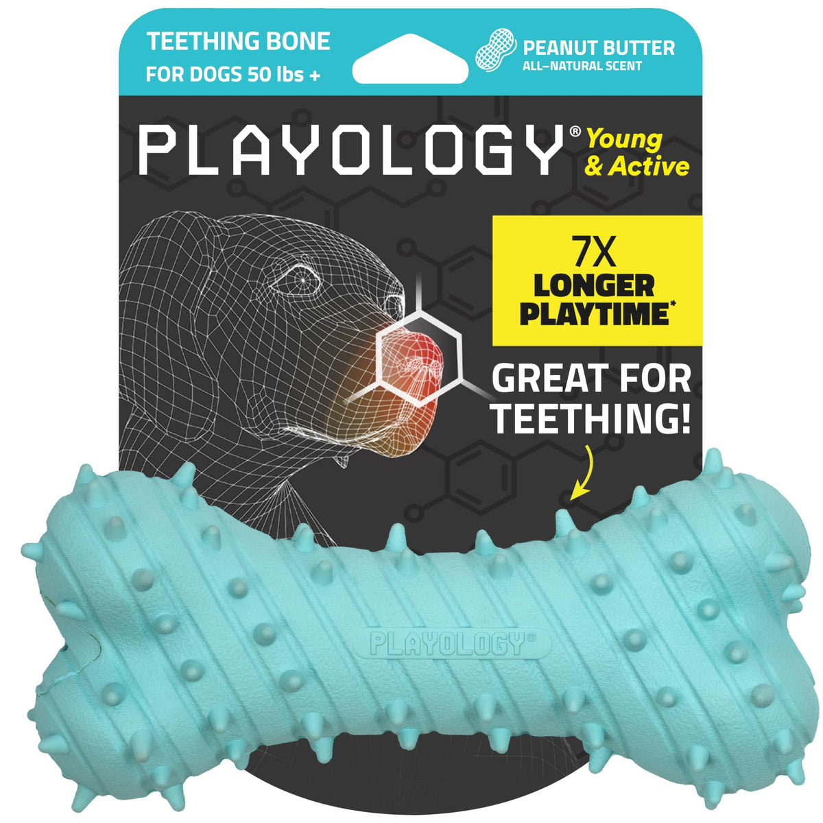 Playology Puppy Teething Bone jumbo peanut butter scent close-up for durable chewing.