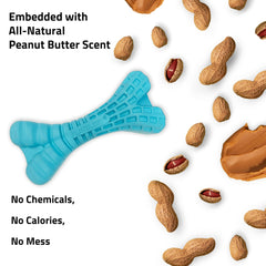 Playology dog toy meeting ASTM CPSIA safety standards for safe play.