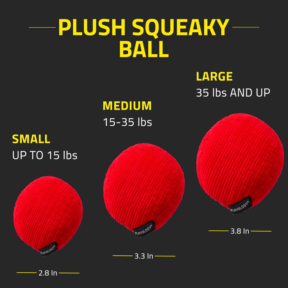 Playology safety-testing standards badge on dog toy.