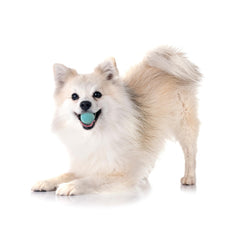 Playology Squeaky Chew Ball durable rubber stands up to indoor and outdoor play.