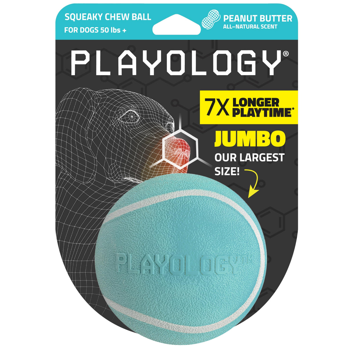Playology squeaky chew ball floating for water fetch and outdoor play