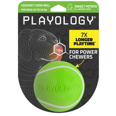 Playology Squeaky Chew Ball front view for interactive fetch and long-lasting indoor fun.