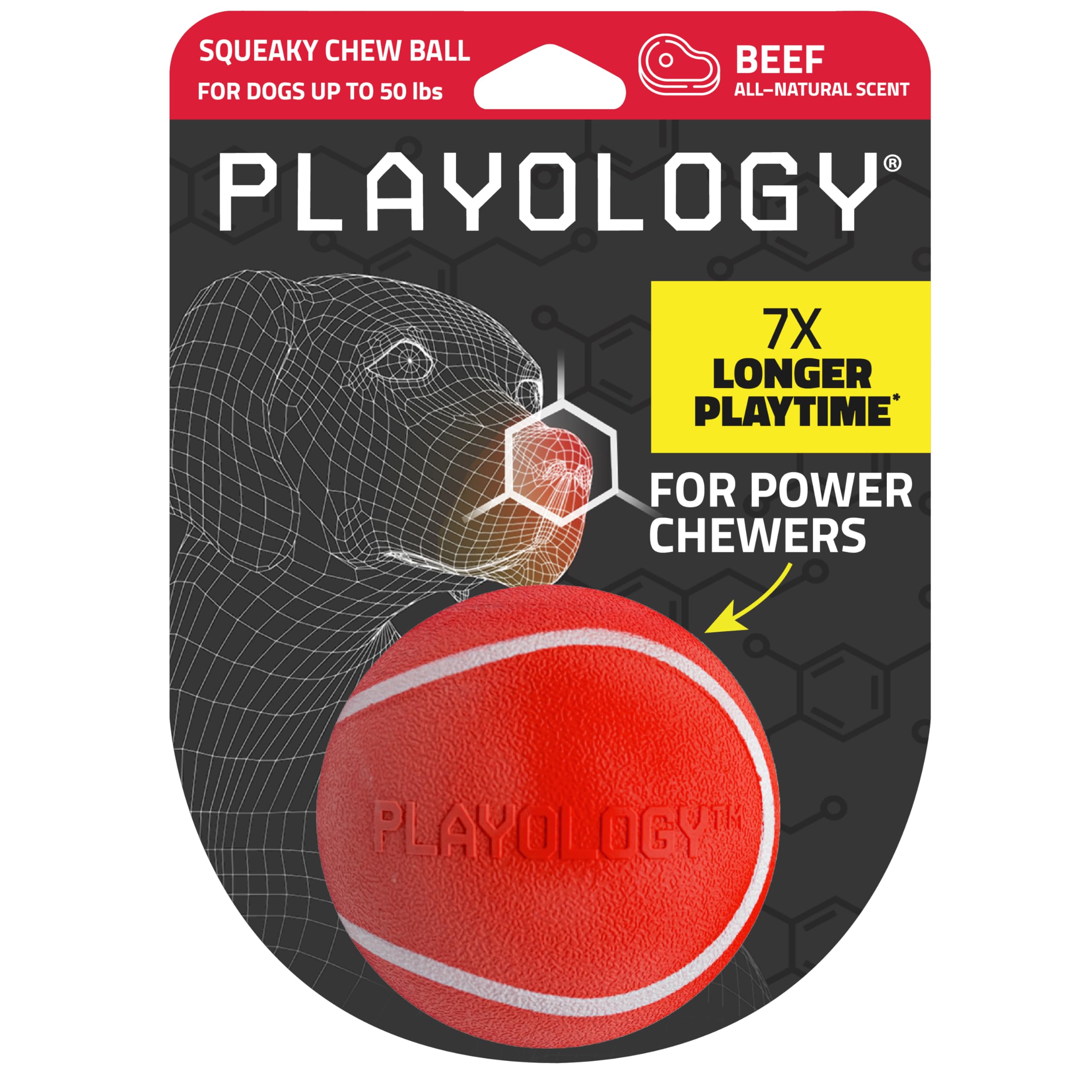Playology Squeaky Chew Ball indoors demonstrates durable indoor play.