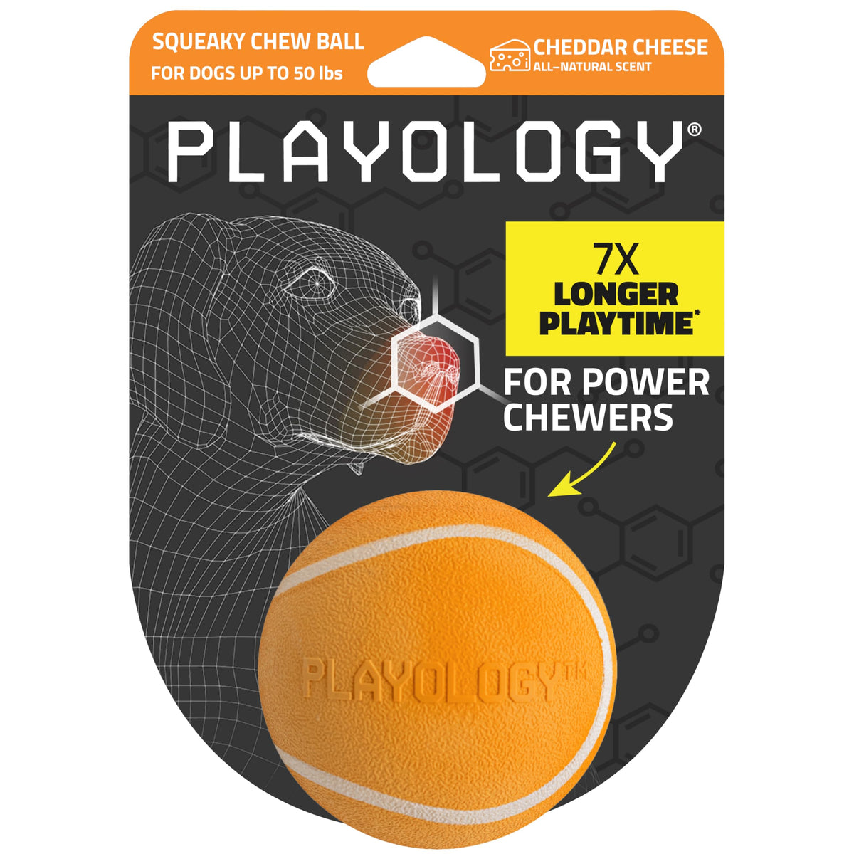 Playology Squeaky Chew Ball — cheddar-scented squeak drives engagement.
