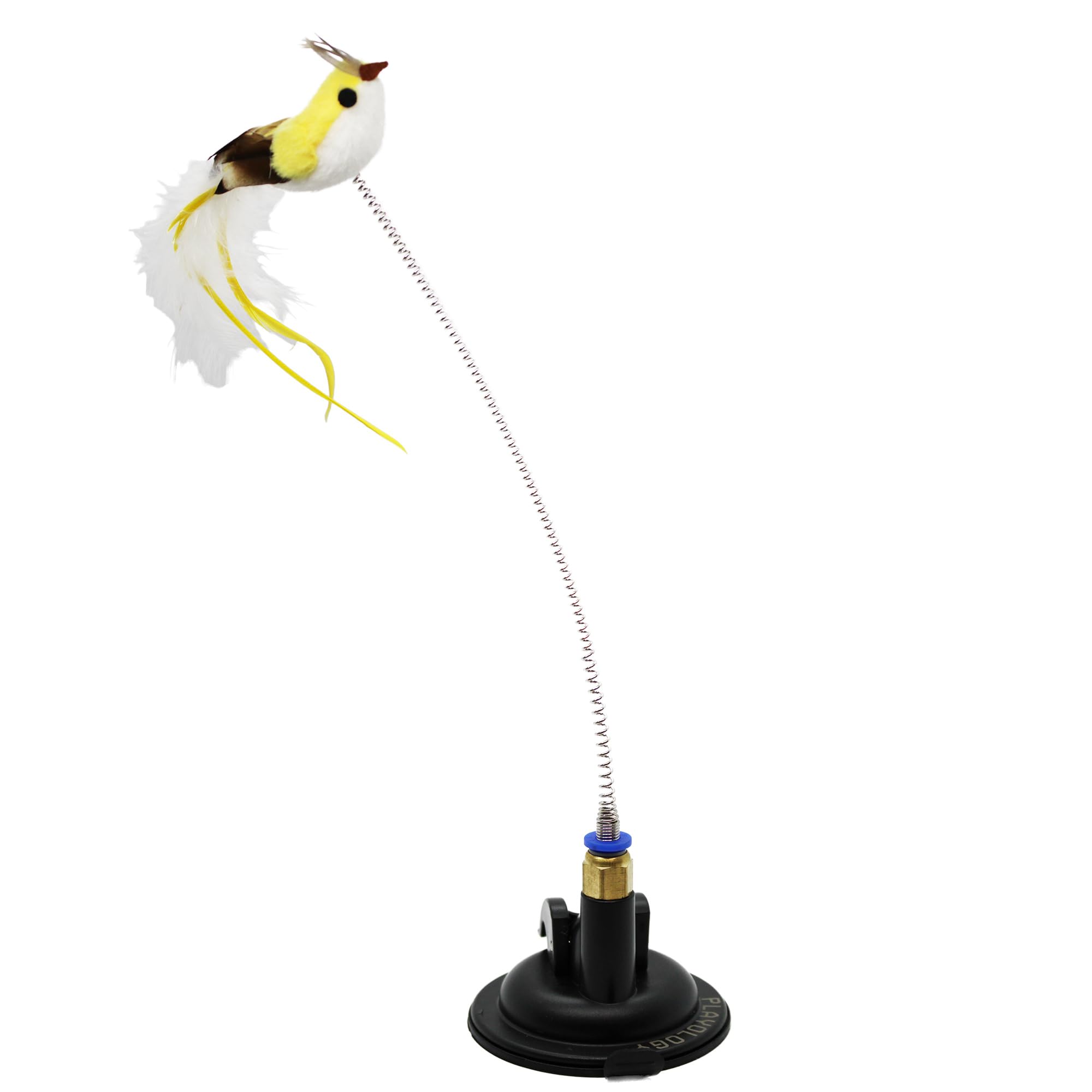 Playology suction cup spring bird in action for chasing and pouncing fun