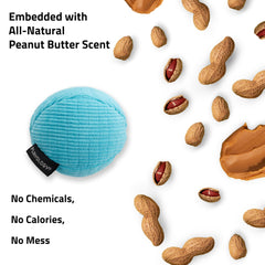 Playology easy-clean surface demonstrates machine-washable toy for quick cleanup