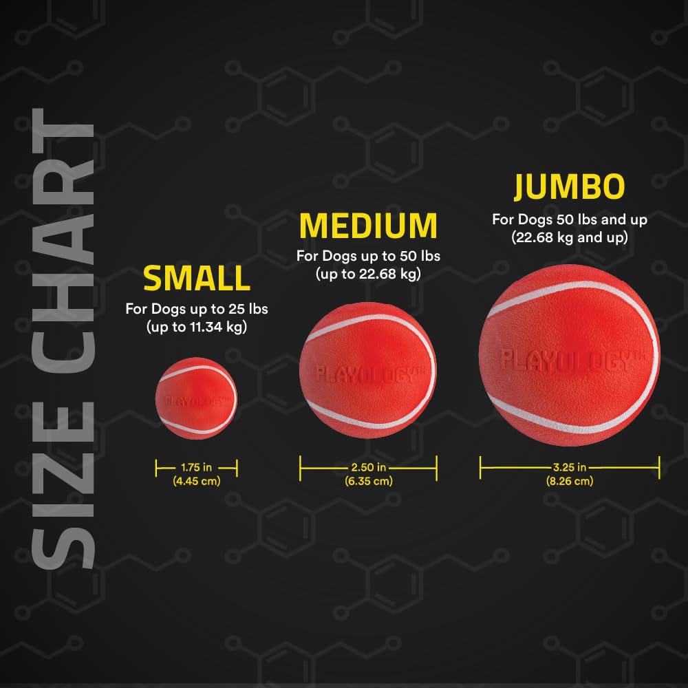 Value 2-pack display of Playology Squeaky Chew Balls for multi-dog households.