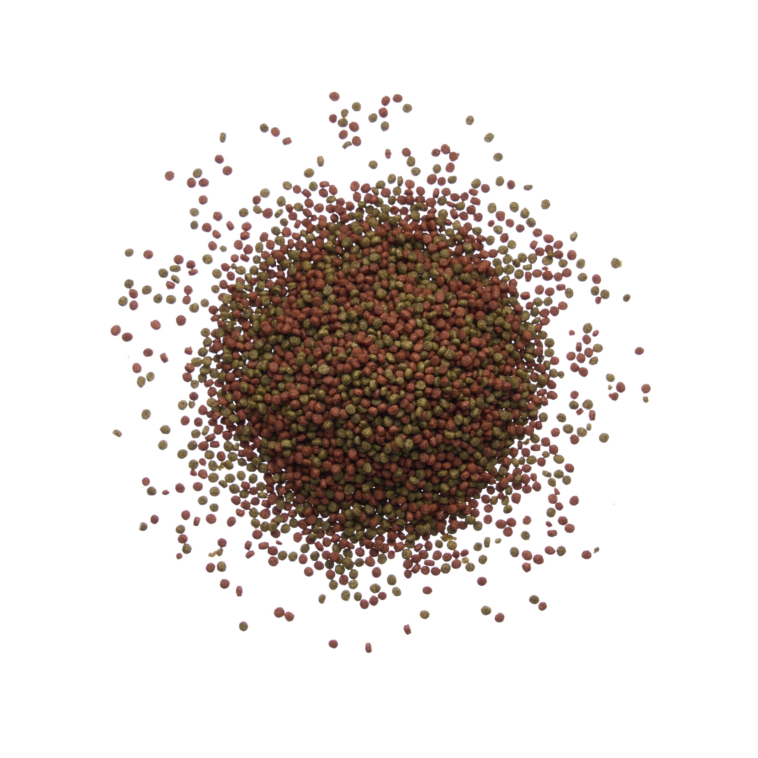 Plecoceramics floating-form pellets illustrate surface-feeding behavior with steady buoyancy.