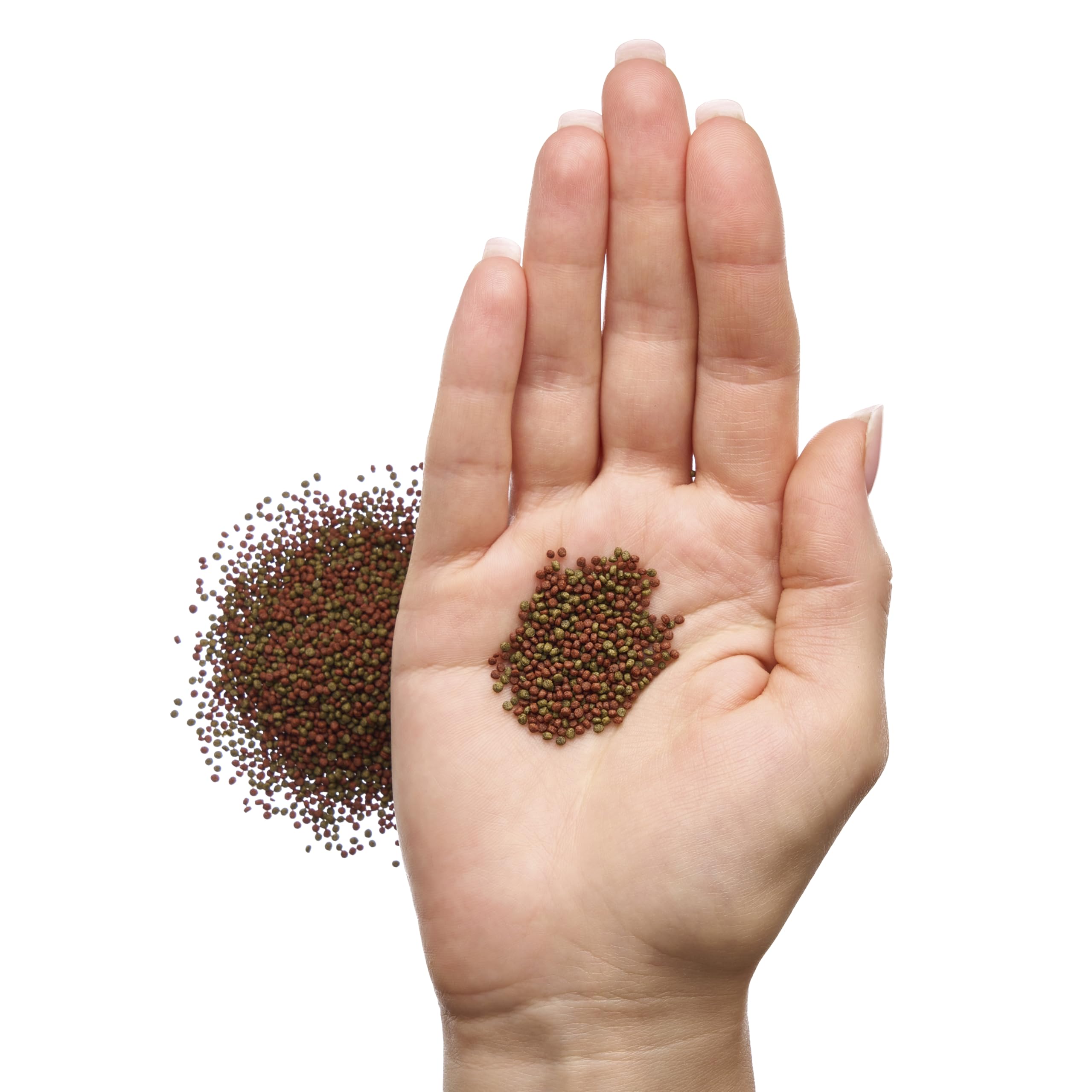 Plecoceramics ingredients photo emphasizes natural meals and spirulina-rich mix.
