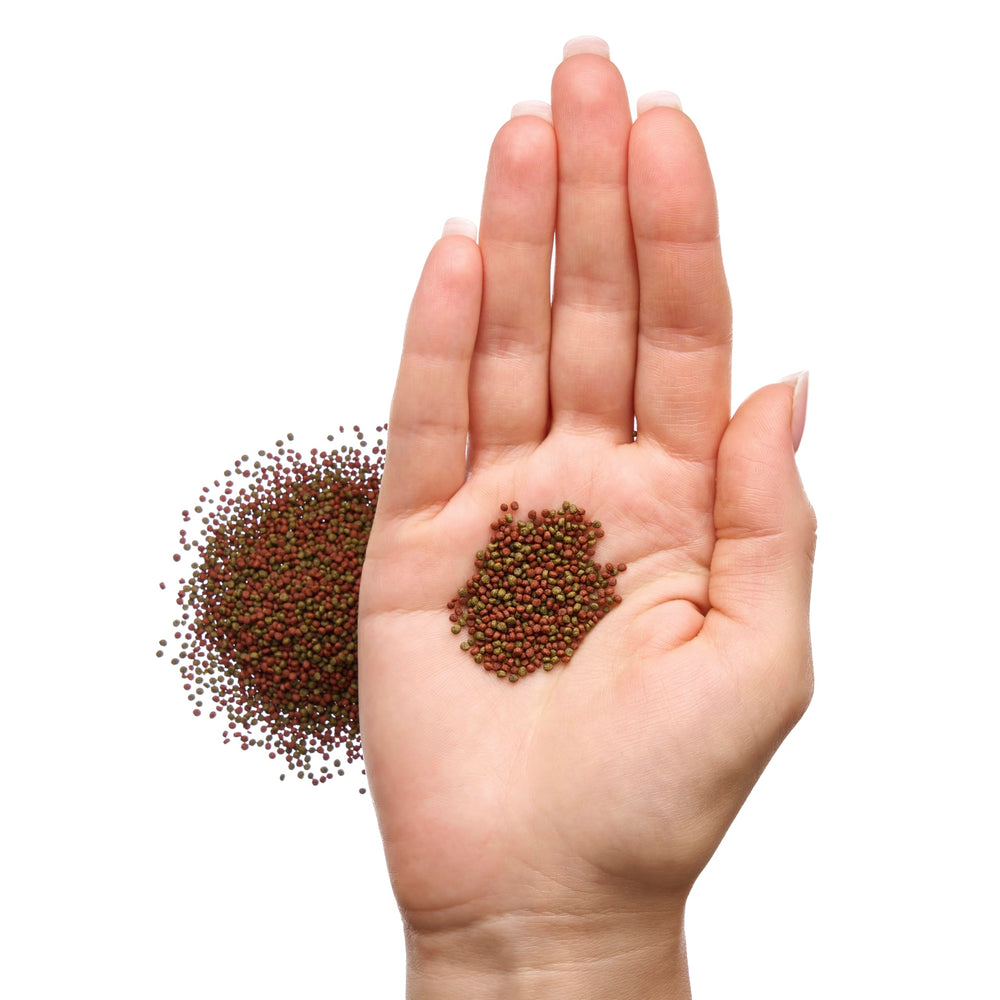 Plecoceramics ingredients photo emphasizes natural meals and spirulina-rich mix.