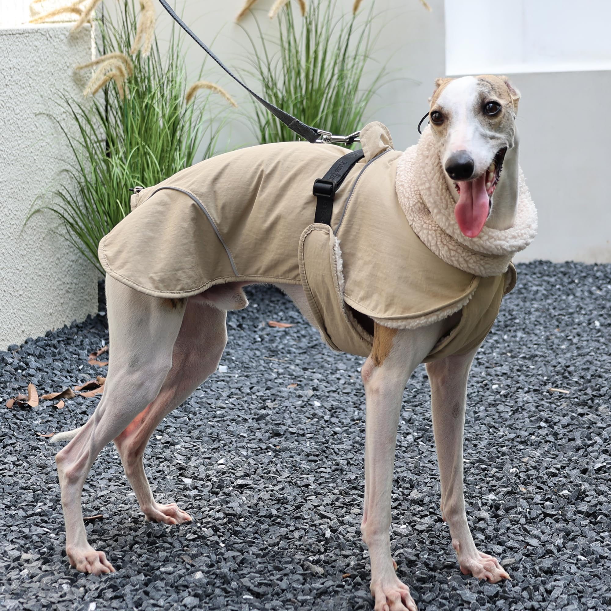 PlentiVive waterproof nylon shell keeps your dog dry in rain and snow.