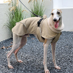 PlentiVive waterproof nylon shell keeps your dog dry in rain and snow.