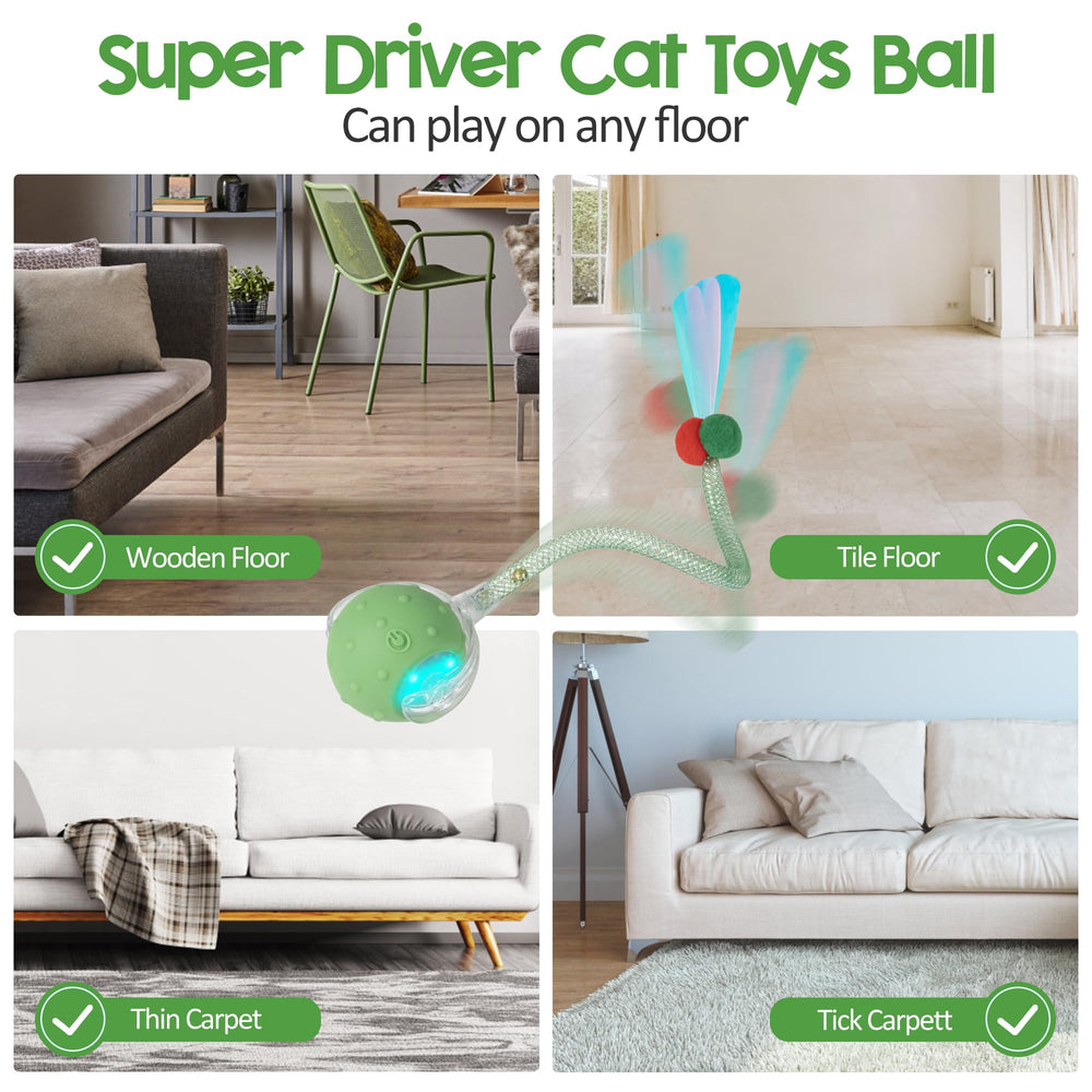 PLITTPETTS interactive cat ball chirping sound attracts cats during hunting play.