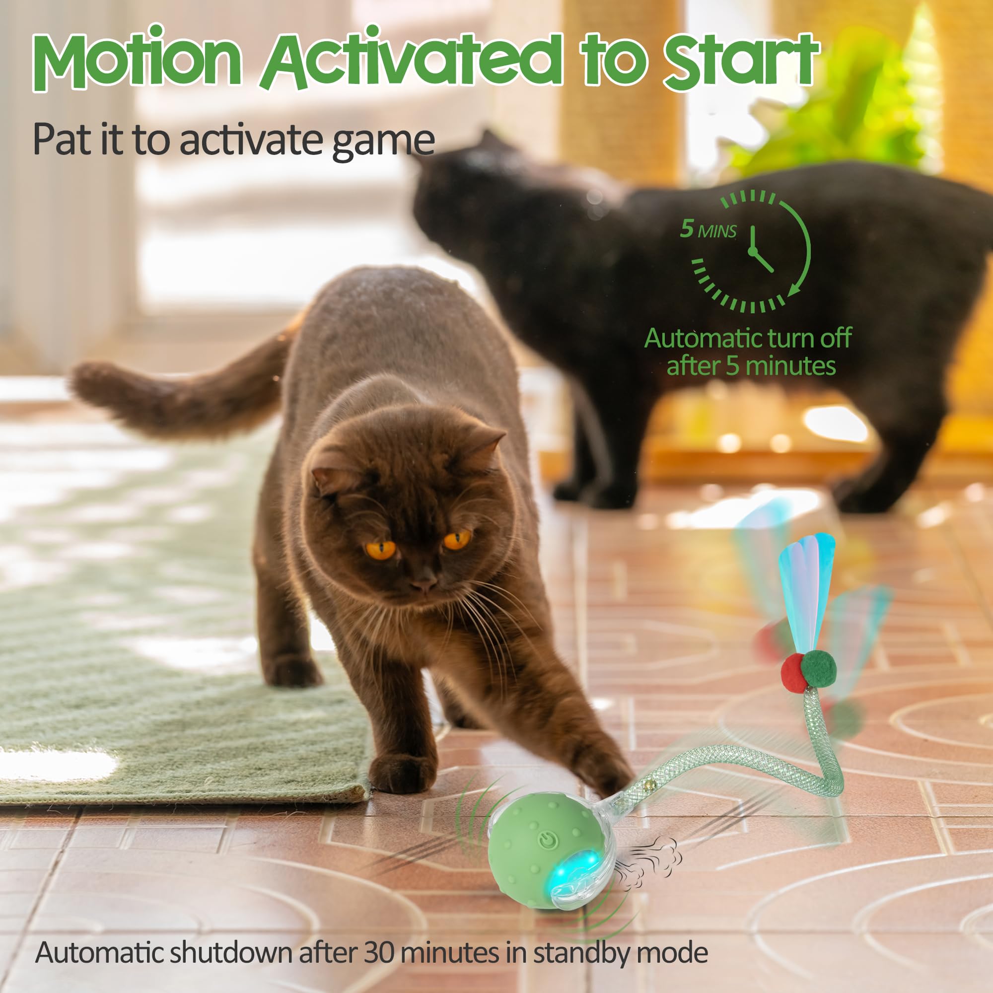 PLITTPETTS interactive cat ball elastic mesh tail enhances realistic chase.