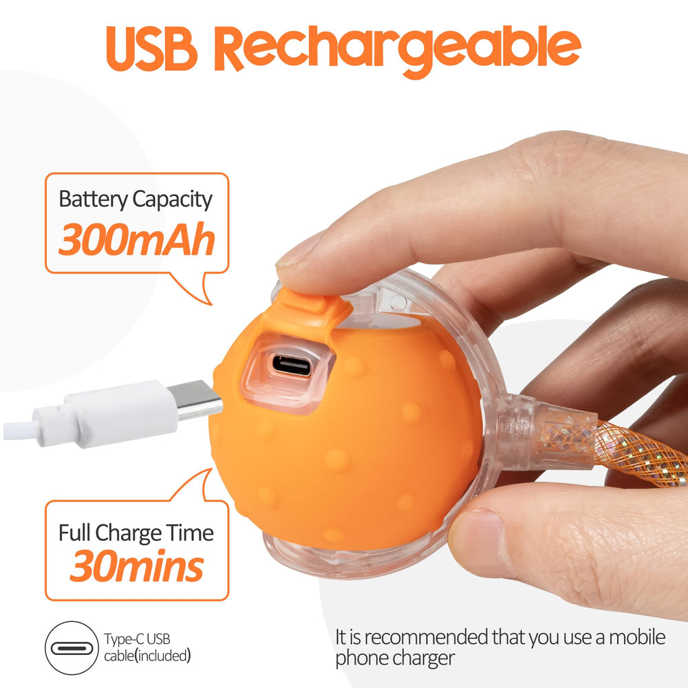 PLITTPETTS durable ABS-silicone shell withstands curious indoor use.