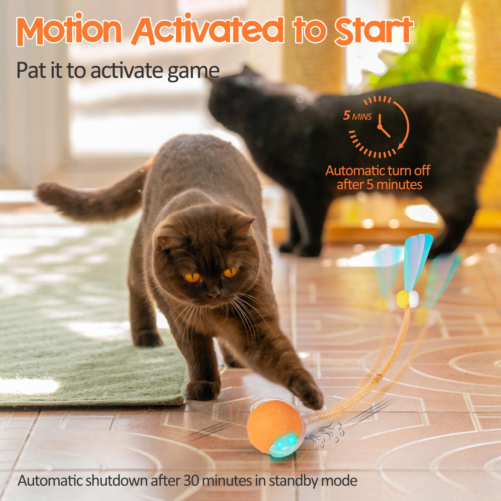 PLITTPETTS motion-activated mode starts bursts of activity when touched.