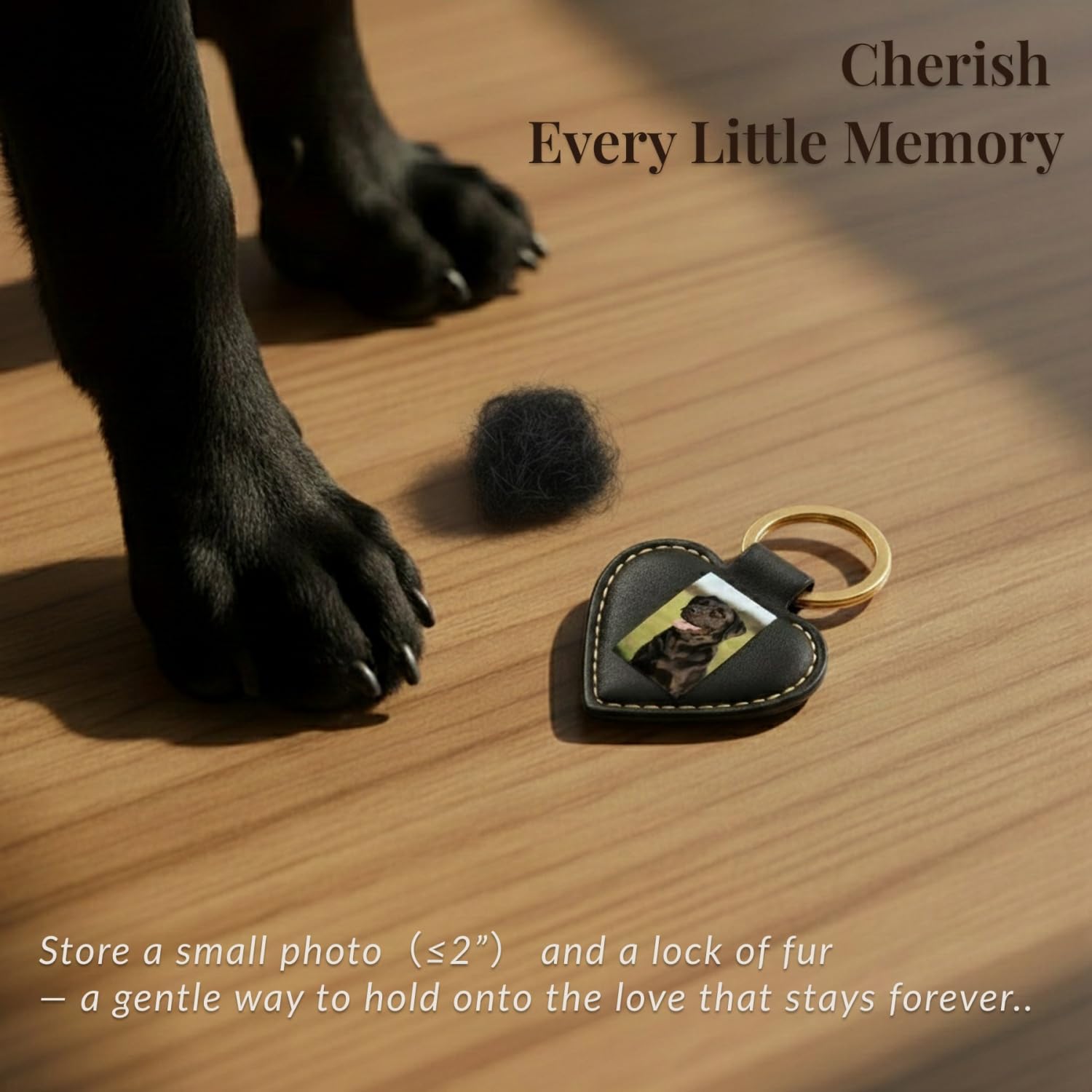 PLUSYYY Pet Memorial Keychain dual-use holder for trackers or keepsake.