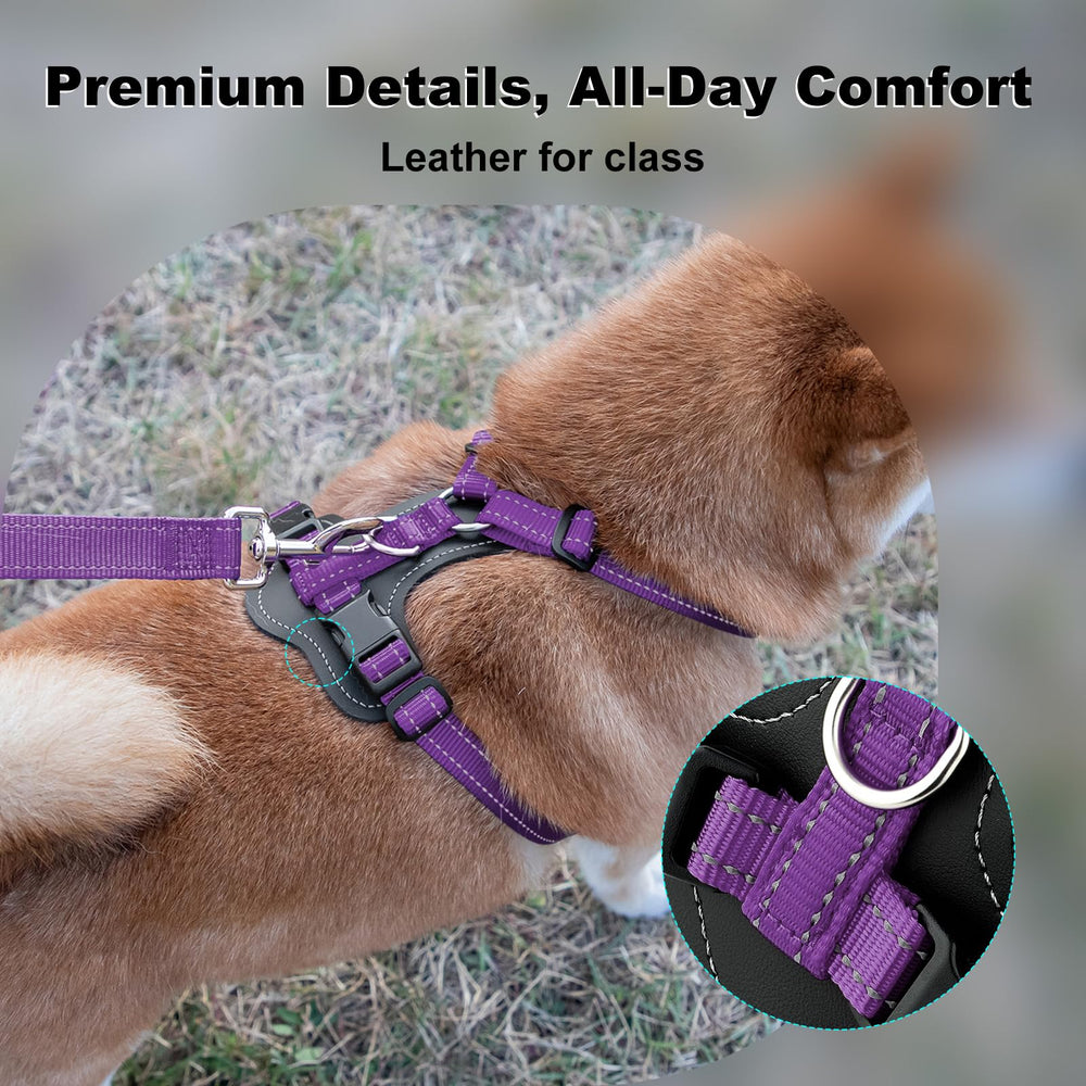 Plutus Pet no-pull harness back clip ideal for calm daily walks.