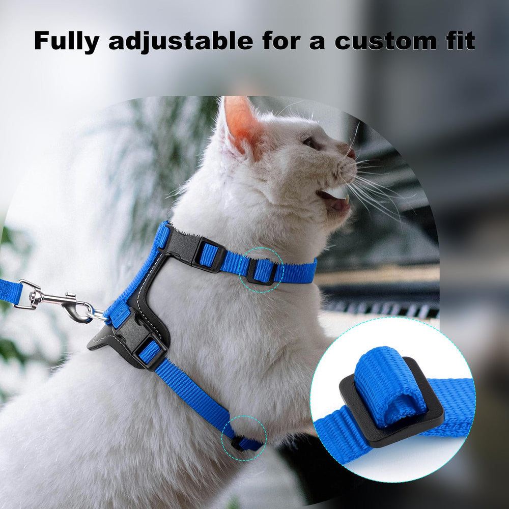 Plutus Pet leash and D-ring setup for controlled outdoor excursions.