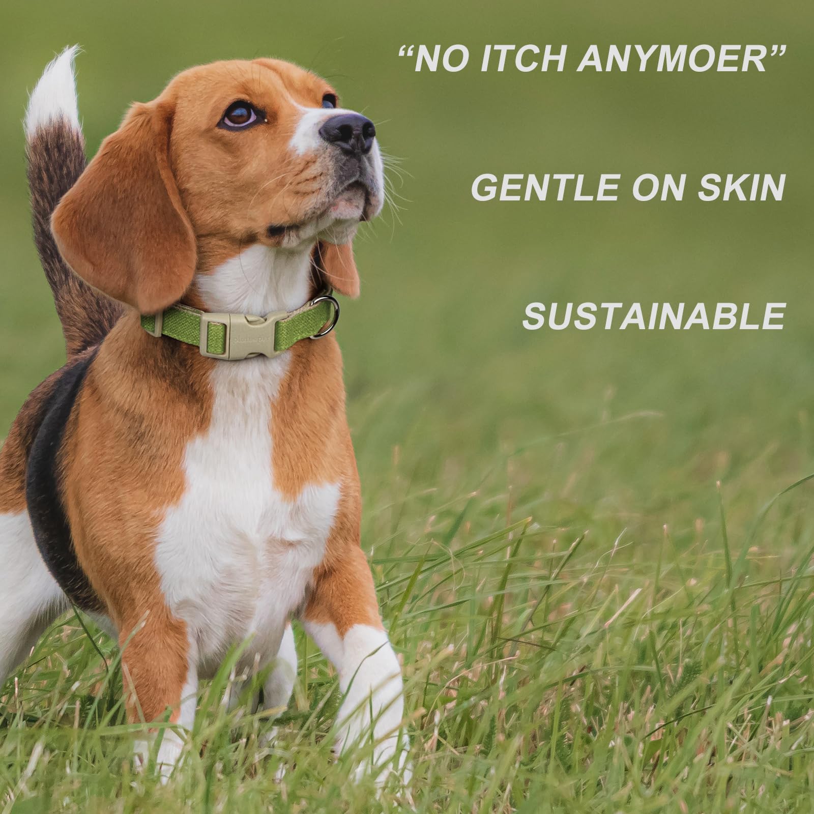 Plutus Pet cotton hemp collar green color for stylish, visible walks.