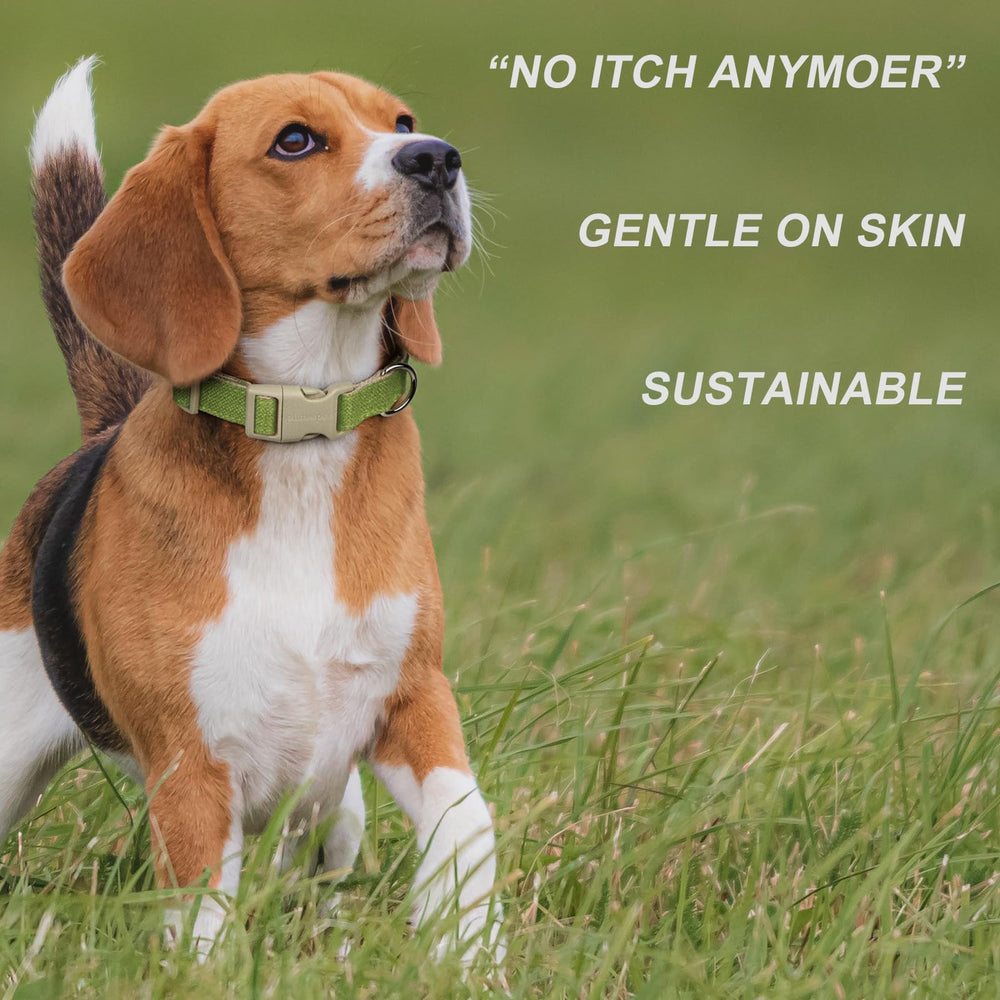 Plutus Pet cotton hemp collar green color for stylish, visible walks.
