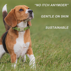 Plutus Pet cotton hemp collar green color for stylish, visible walks.
