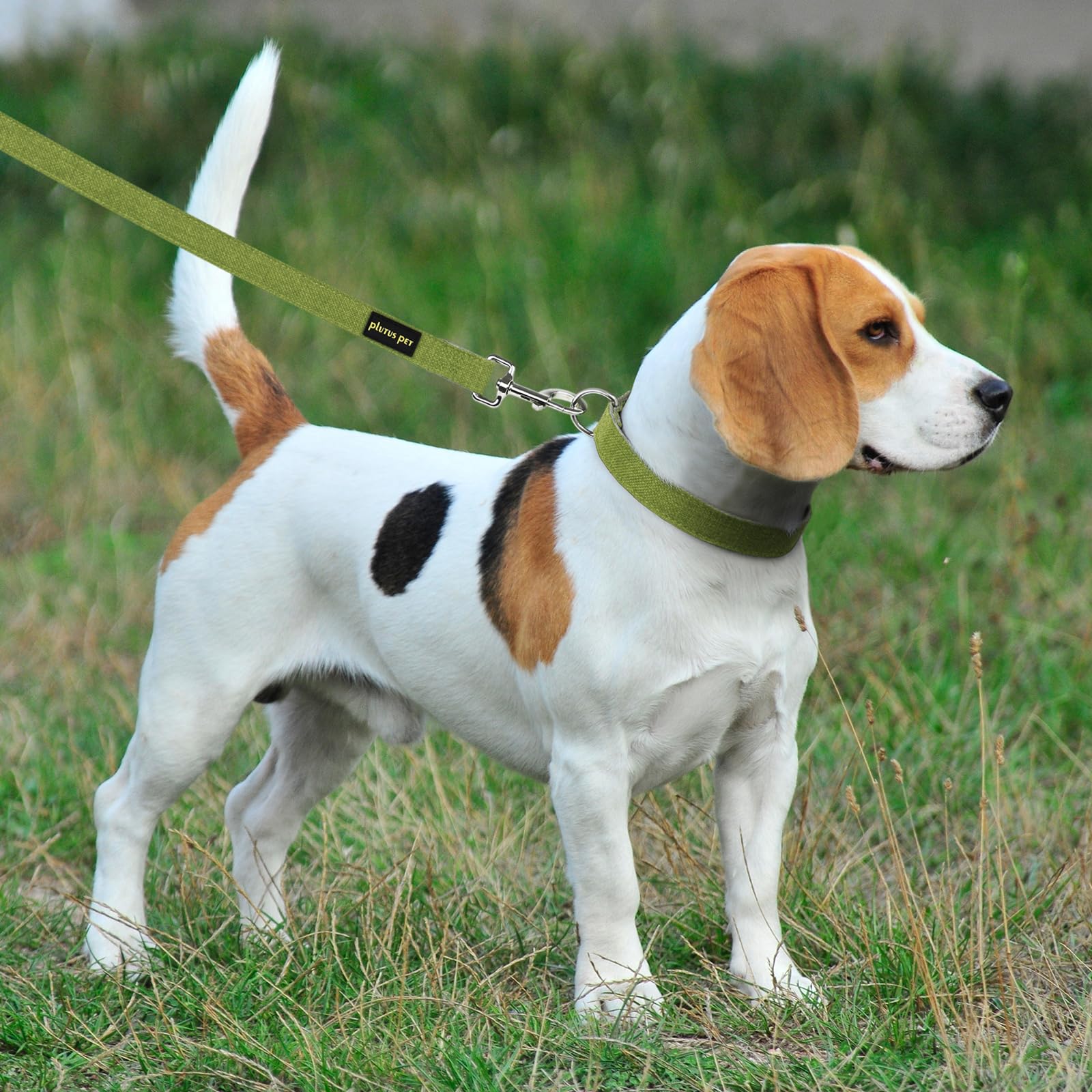Plutus Pet cotton hemp collar sturdy stitching for active dogs' daily use.