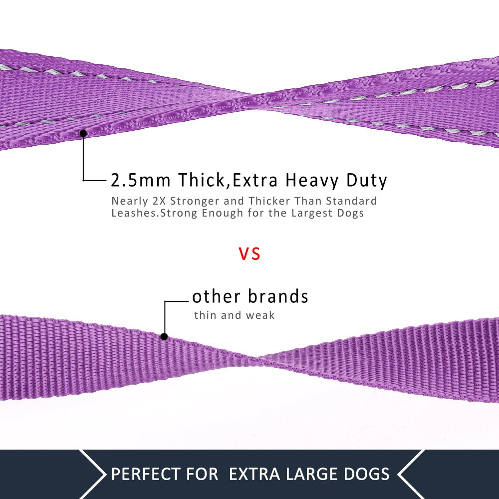 Plutus Pet d-ring attachment leash purple adds accessory options during outings