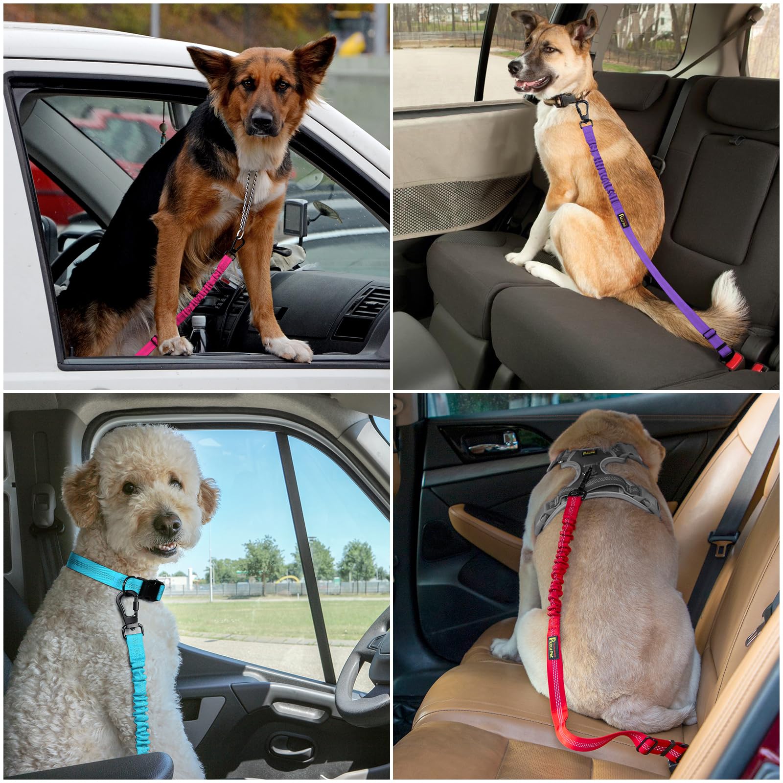 Plutus Pet dog seatbelt in-use demonstrates safe travel setup.