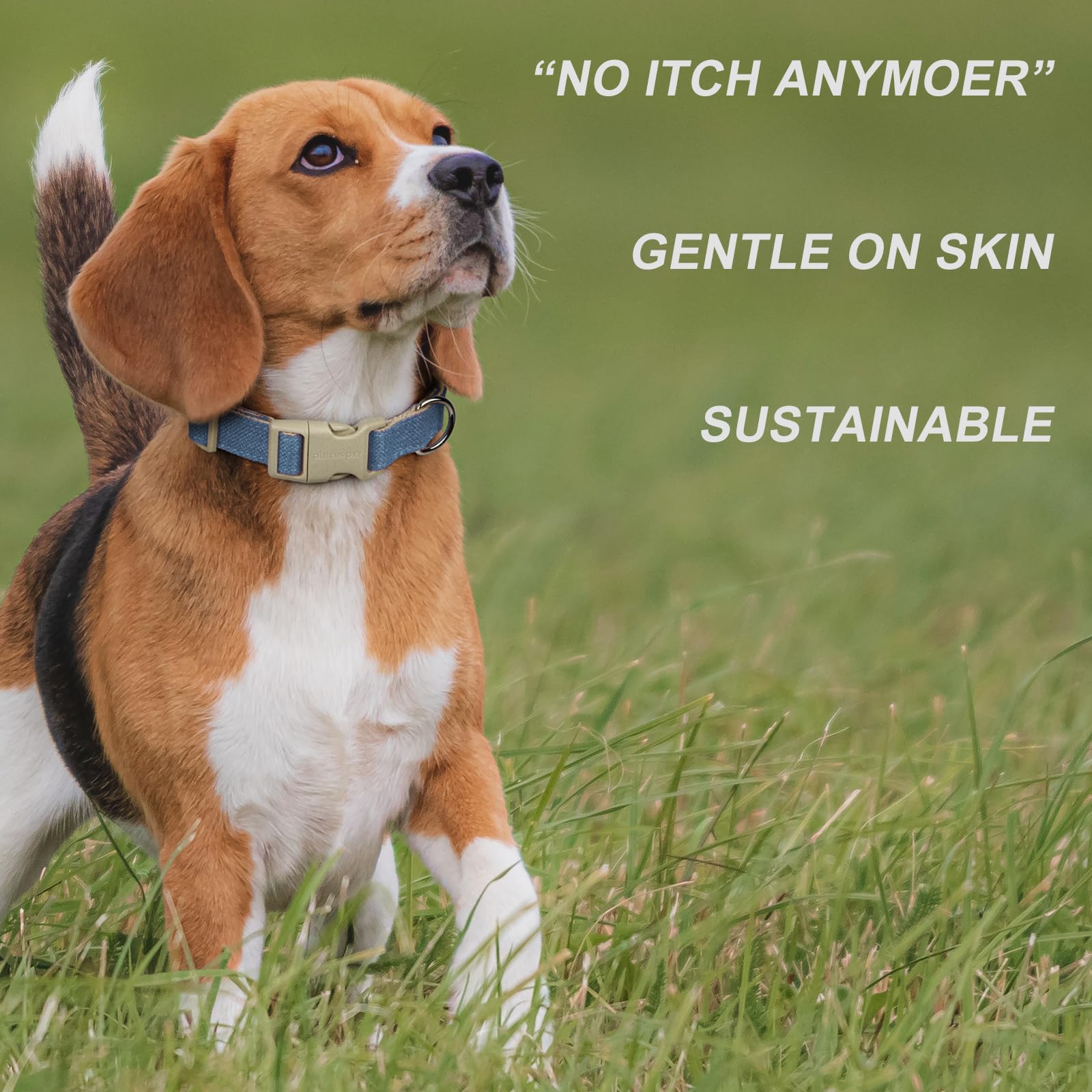 PLUTUS PET dog-walk in park shows safe and stylish haze blue.