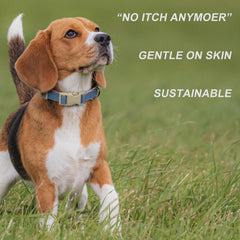 PLUTUS PET dog-walk in park shows safe and stylish haze blue.