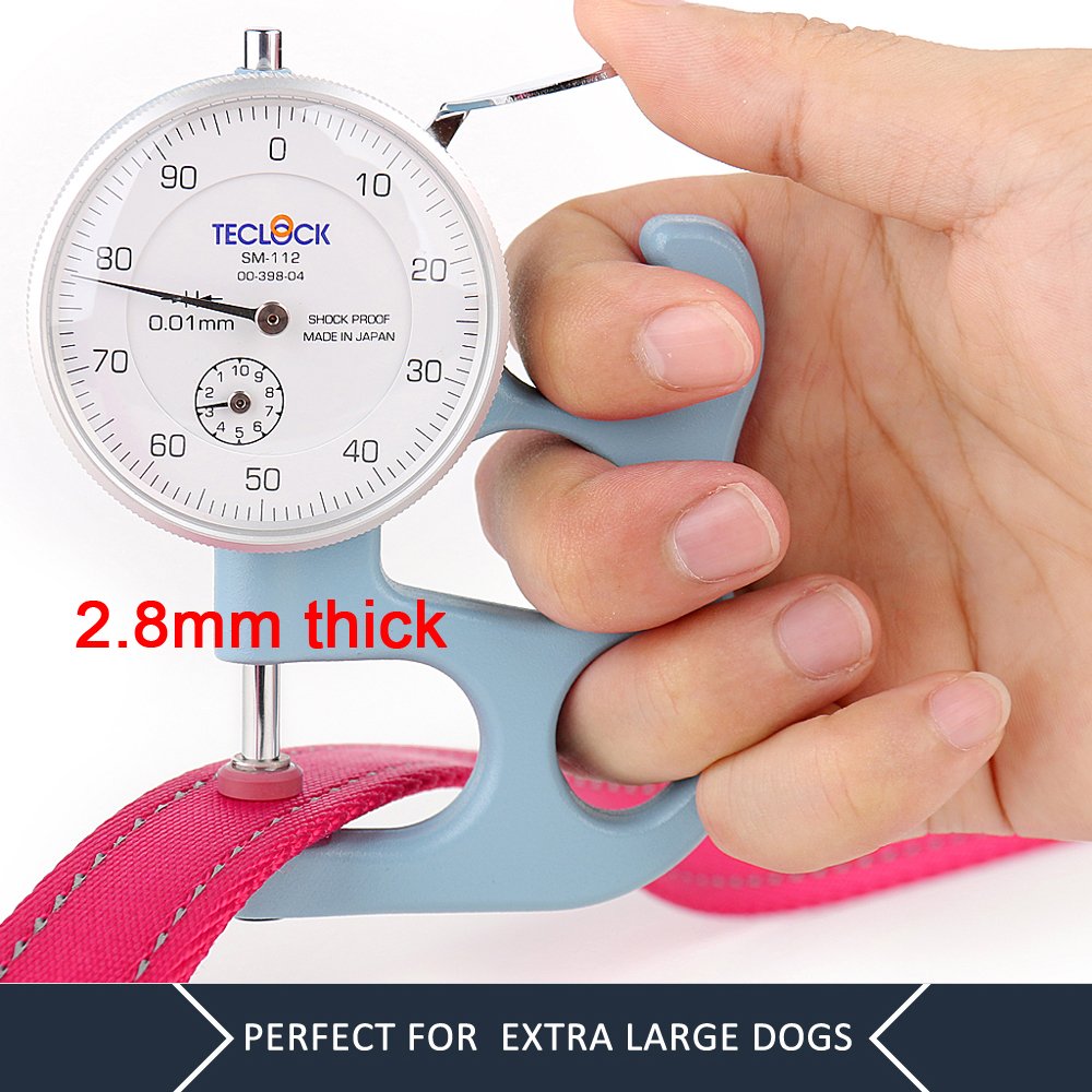 Plutus Pet dual-handle design showing traffic handle for crowded areas.