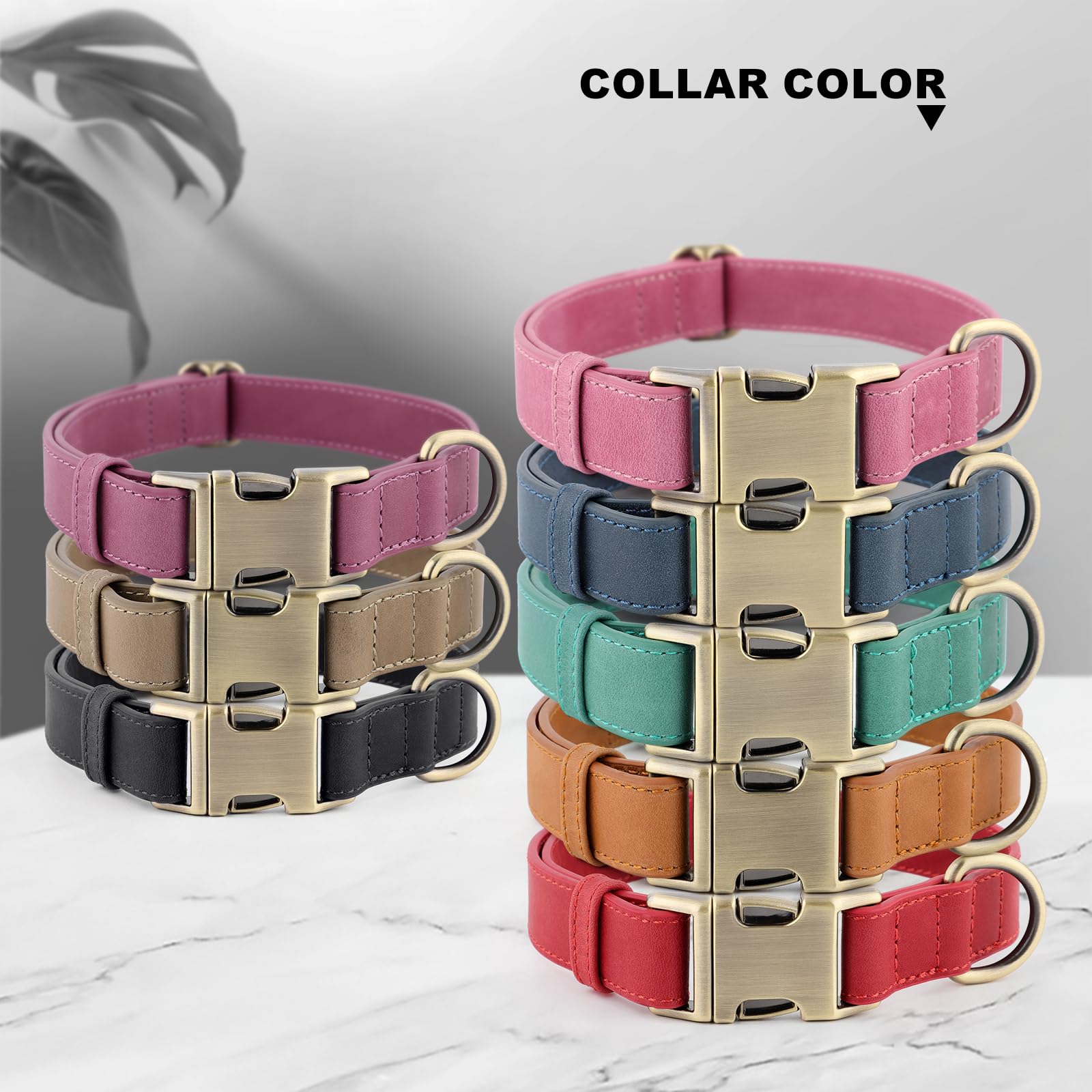 Plutus Pet durable leather collar designed for daily outdoor use