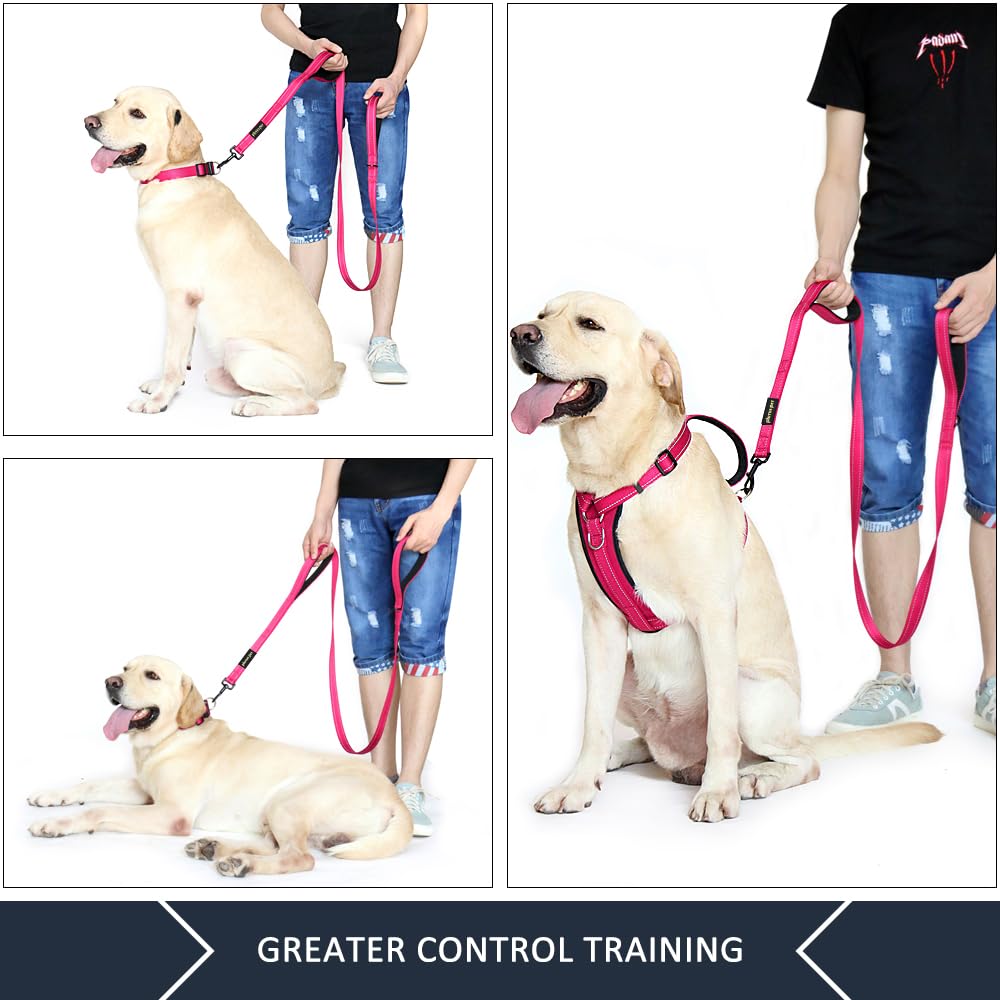 Plutus Pet heavy-duty nylon leash close-up demonstrates rugged construction for daily use.