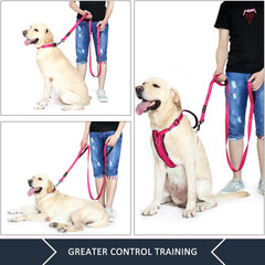Plutus Pet heavy-duty nylon leash close-up demonstrates rugged construction for daily use.