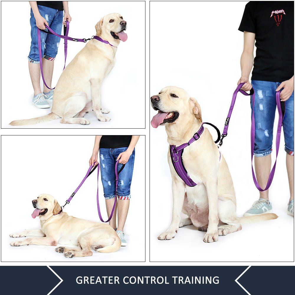 Plutus Pet heavy-duty nylon leash purple built for daily outdoor use