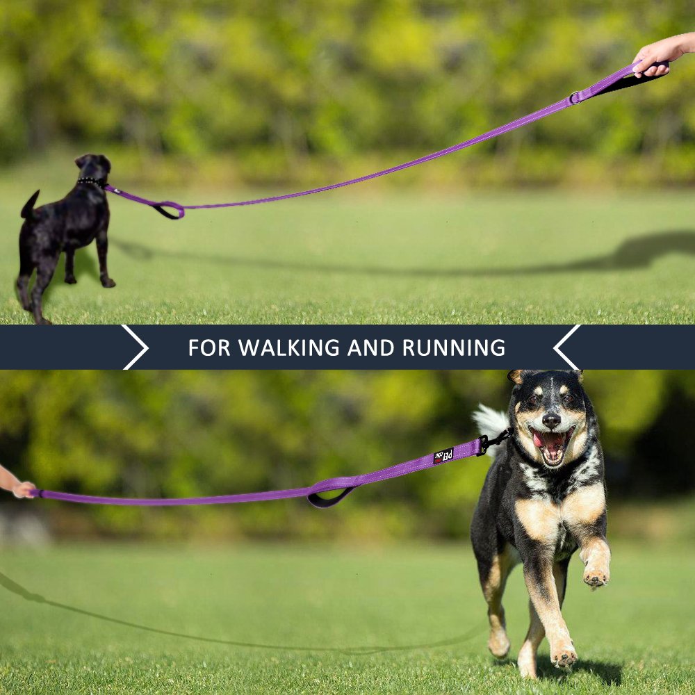 Plutus Pet large-clasp leash purple makes collar attachment quick and secure