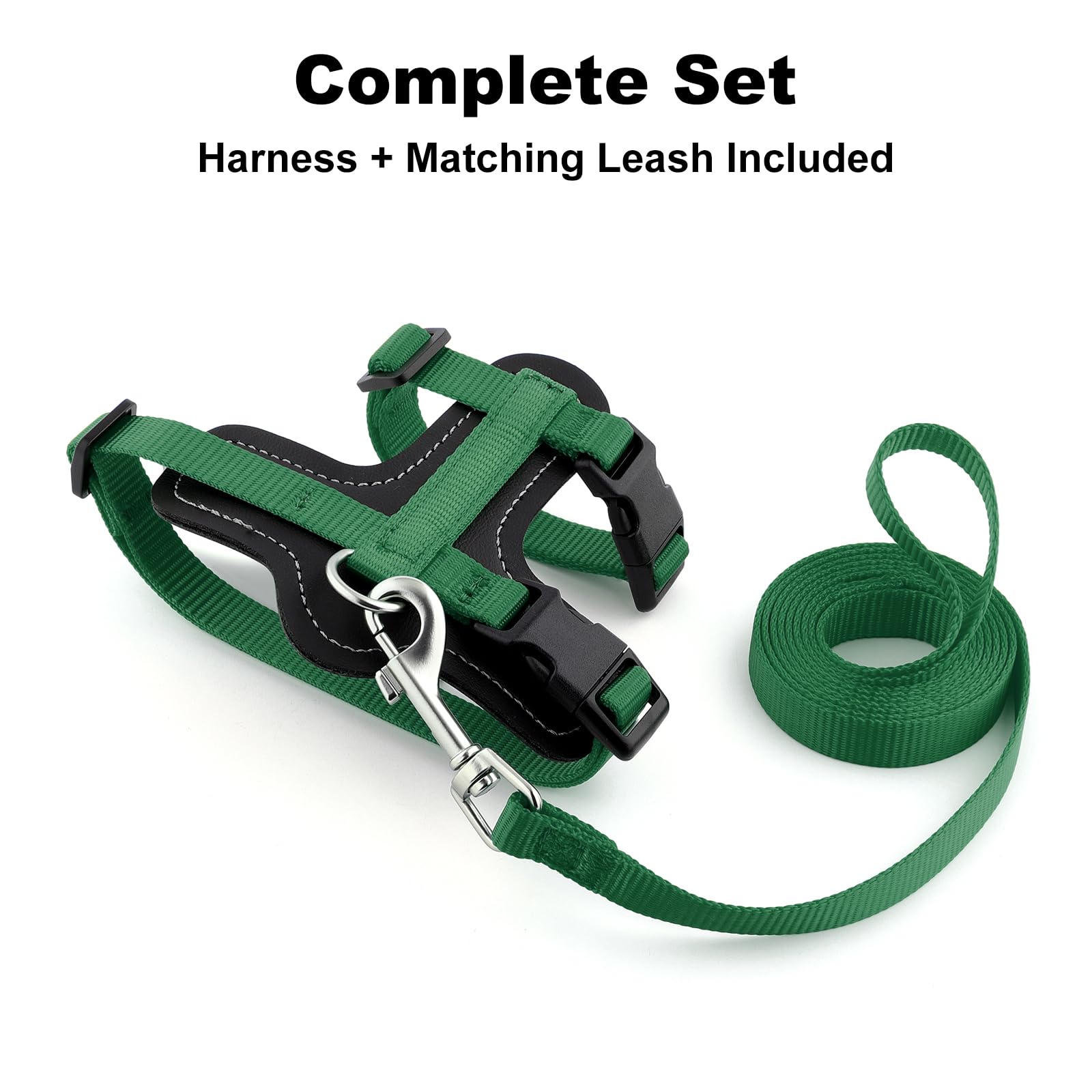 Plutus Pet leash and harness setup for comfortable daily walks.
