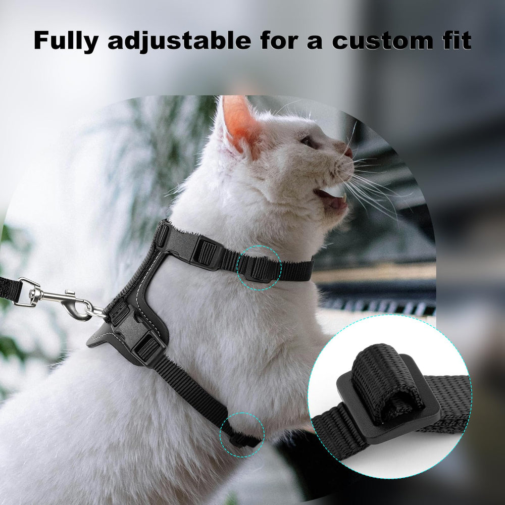 PLUTUS PET leash attached to back D-ring for secure outdoor walking.