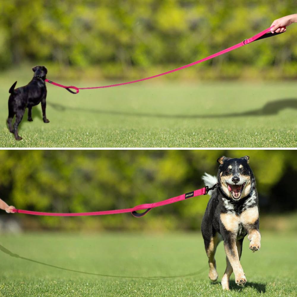Plutus Pet heavy-duty clasp close-up showcases durable hardware for training sessions.