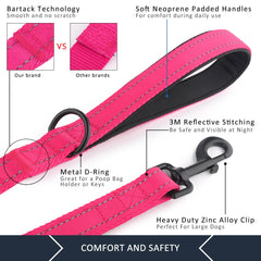 Plutus Pet reflective thread night-visibility close-up emphasizes safer evening walks.