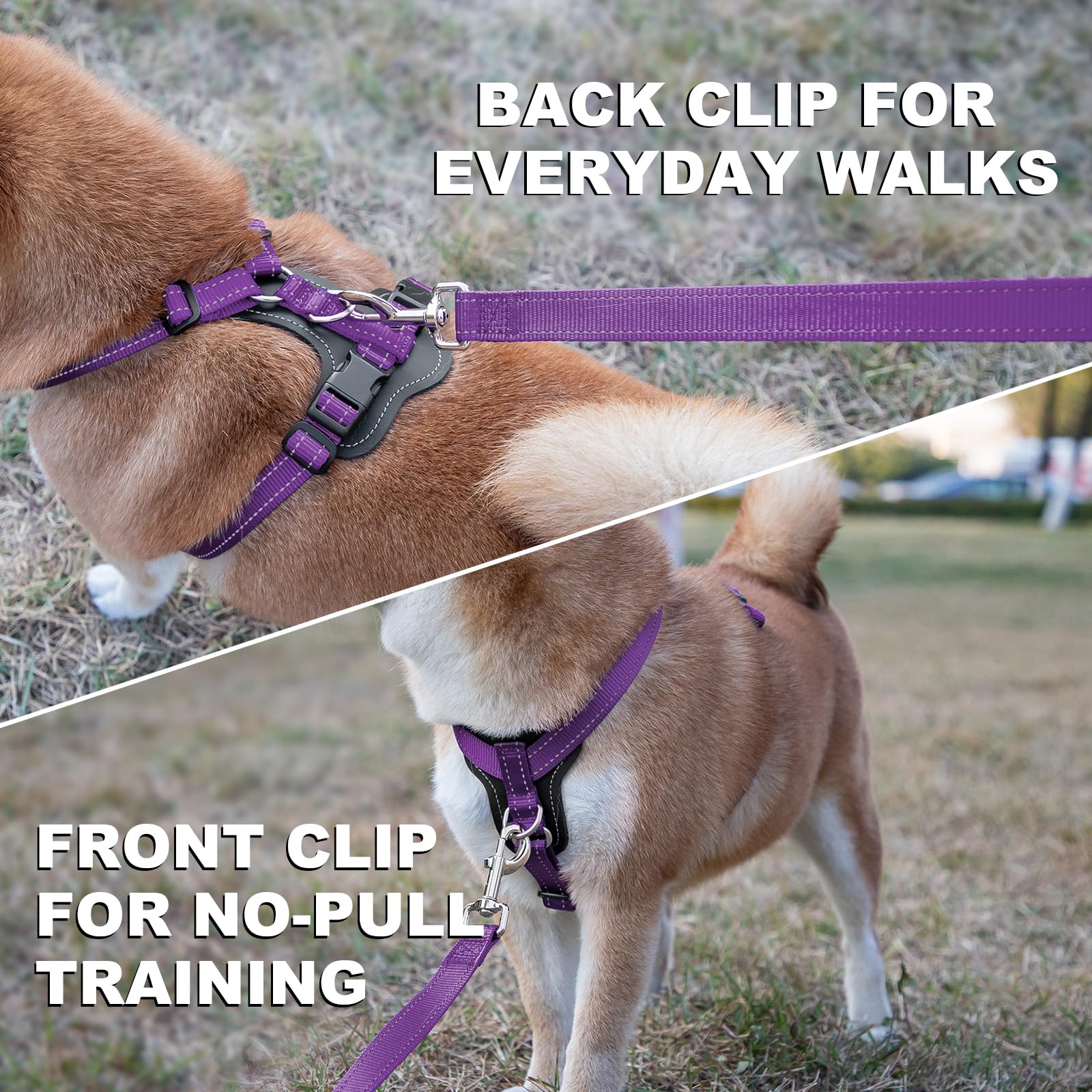 Plutus Pet leather-trim detail highlights durable, upscale harness design.