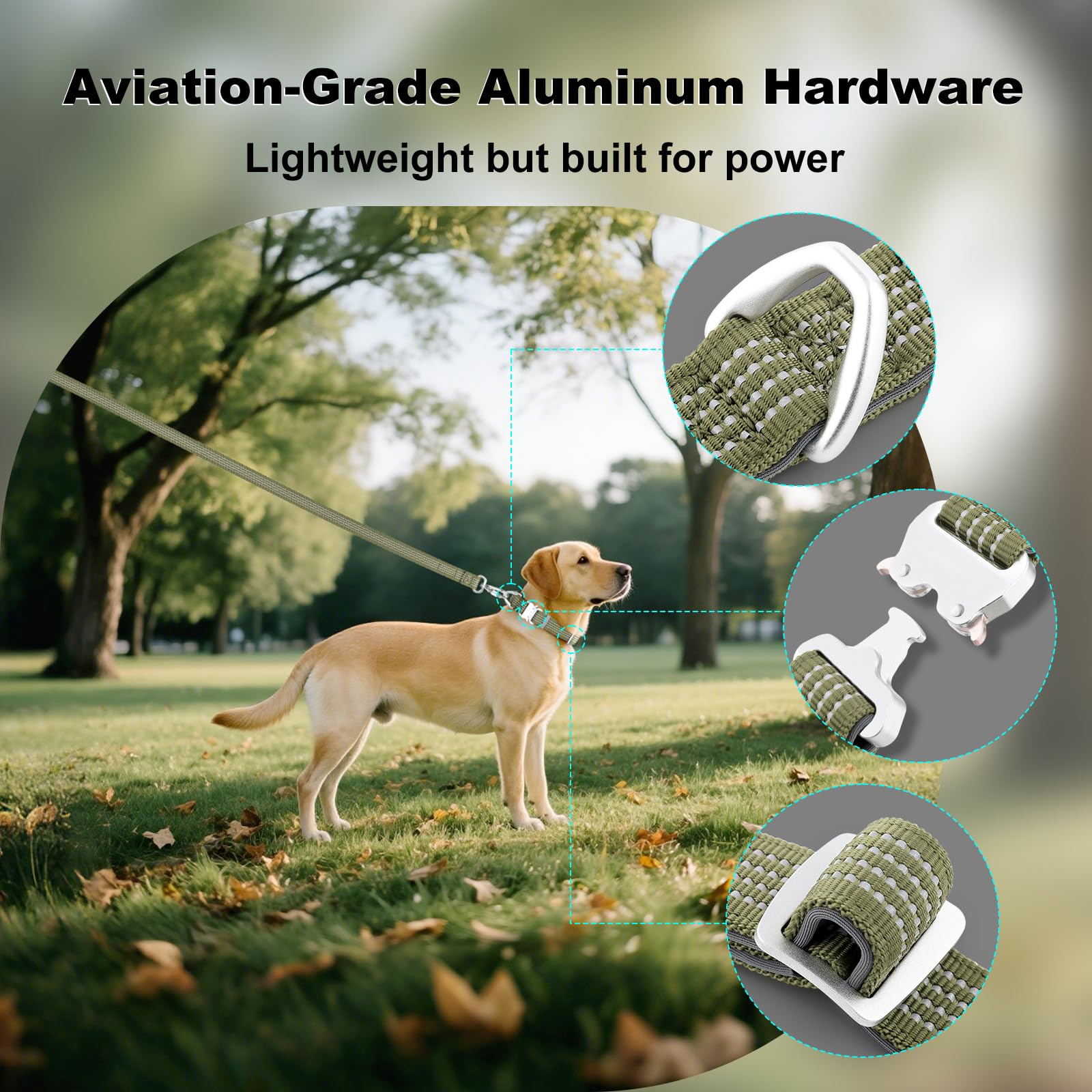 Plutus Pet night visibility collar with reflective threads enhances safety on evening walks.