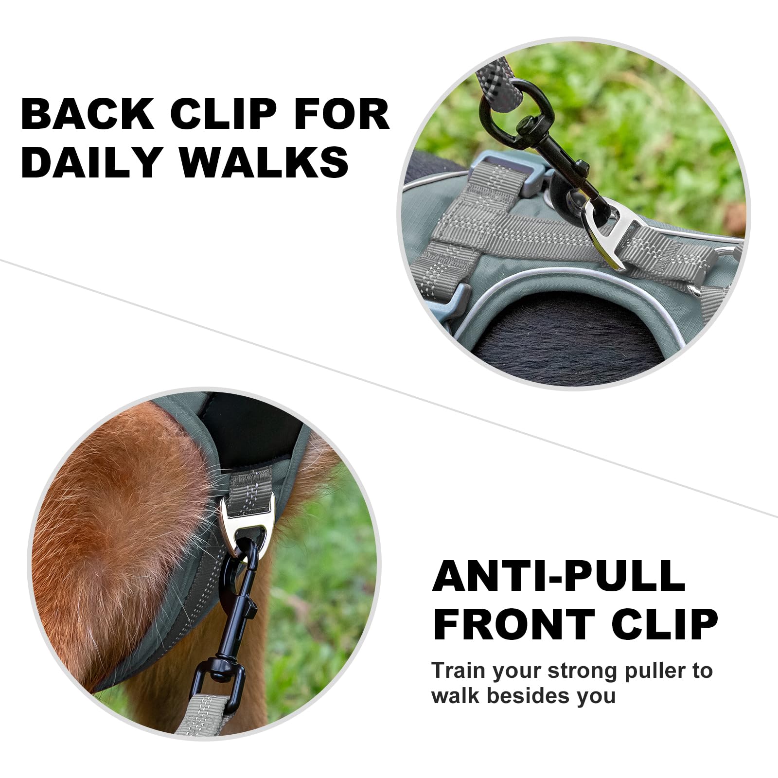 Plutus Pet no pull harness adjustable fit for growing dogs.