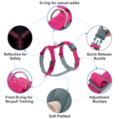 Plutus Pet No Pull Harness adjustable straps offer a customizable fit.