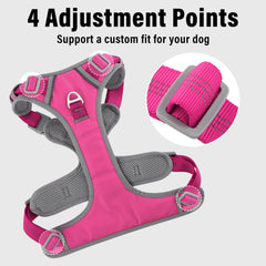 Plutus Pet No Pull Harness back-ring suited for casual walks and jogging.